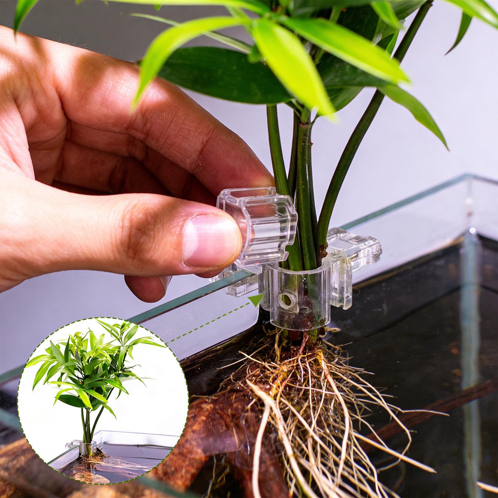 Aquarium Plant Diseases - Suportes Transparentes para Plantas de Aquário