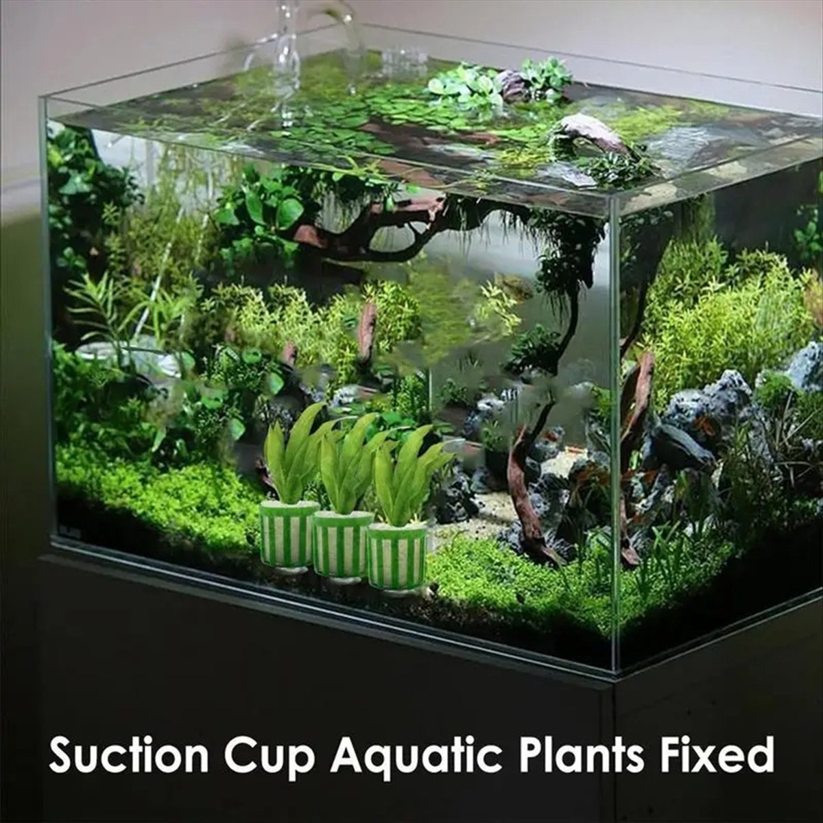 Planted Aquarium Tool Kit - Suporte Fixo para Plantas Aquáticas ABNQ,