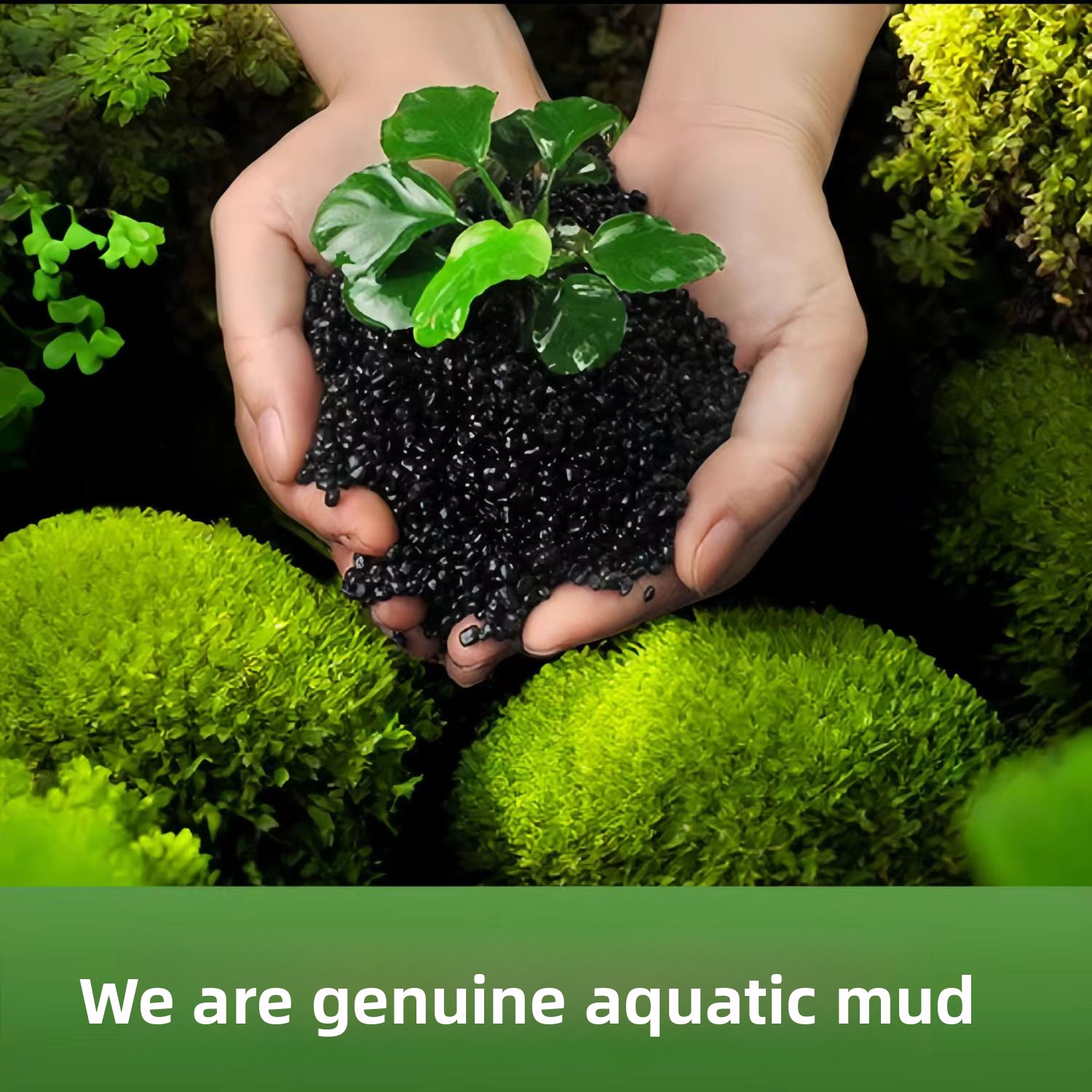 Areia de argila preta para dec - Aquarium Planted Sand avaliação e preço