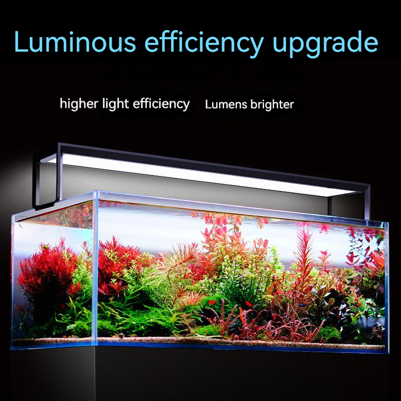 Netlea 540s/590s aquário espec - Aquarium Plant Diseases avaliação e preço