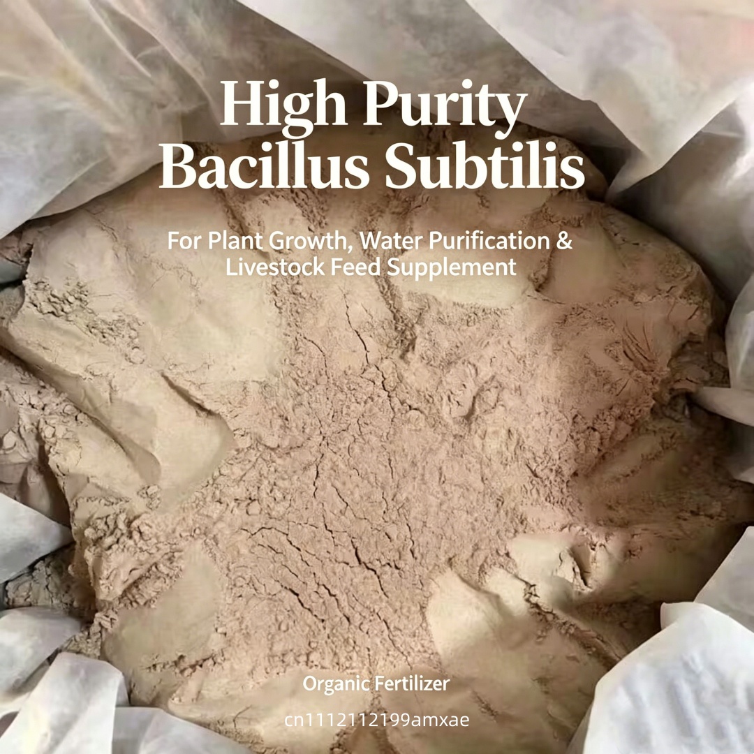 Pó de Bacillus Subtilis de Alt - Aquarium Plant Diseases avaliação e preço