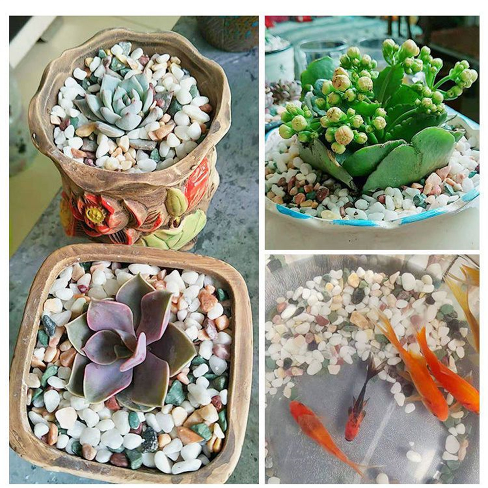 100g de Cristais Naturais, Ped - Aquarium Planted Sand avaliação e preço