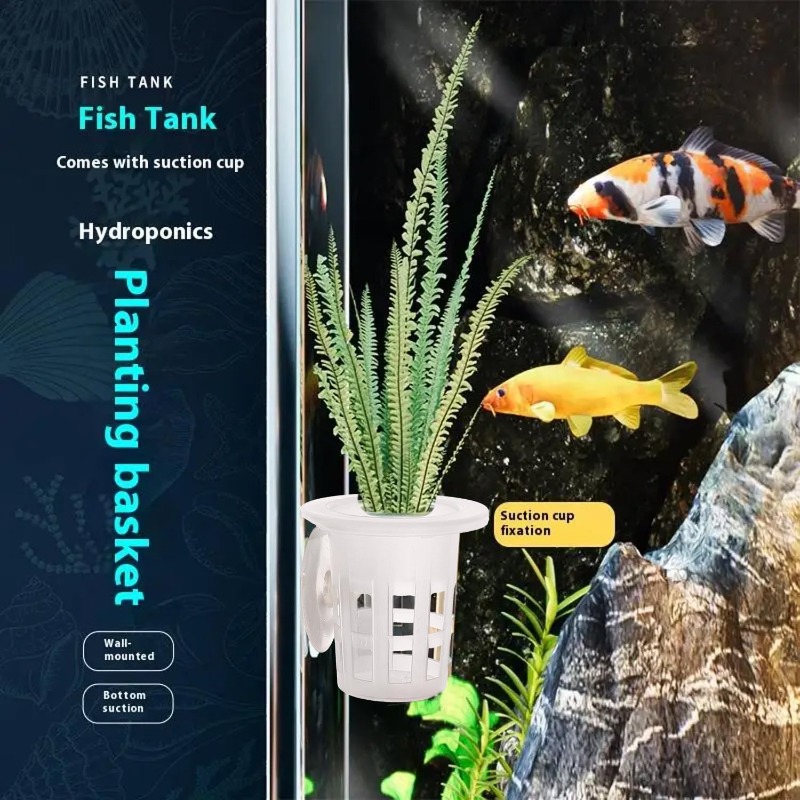 Copos de plástico para plantio - Aquarium Plant Diseases avaliação e preço
